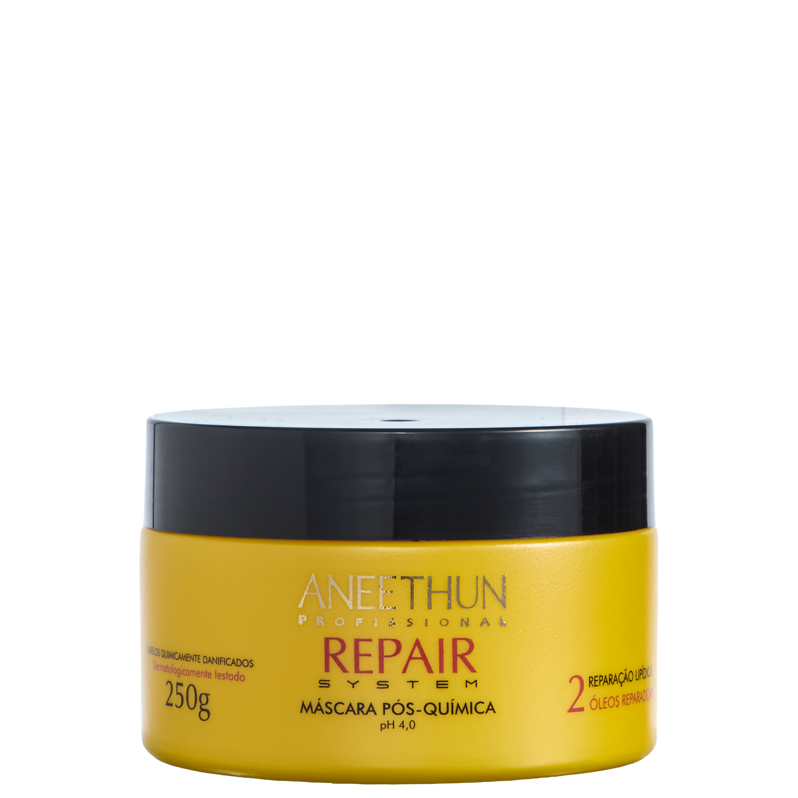 ANEETHUN PROFISSIONAL REPAIR SYSTEM MÁSCARA PÓS-QUIMICA 250G ANEETHUN PROFISSIONAL REPAIR SYSTEM MÁSCARA PÓS-QUIMICA 250G
