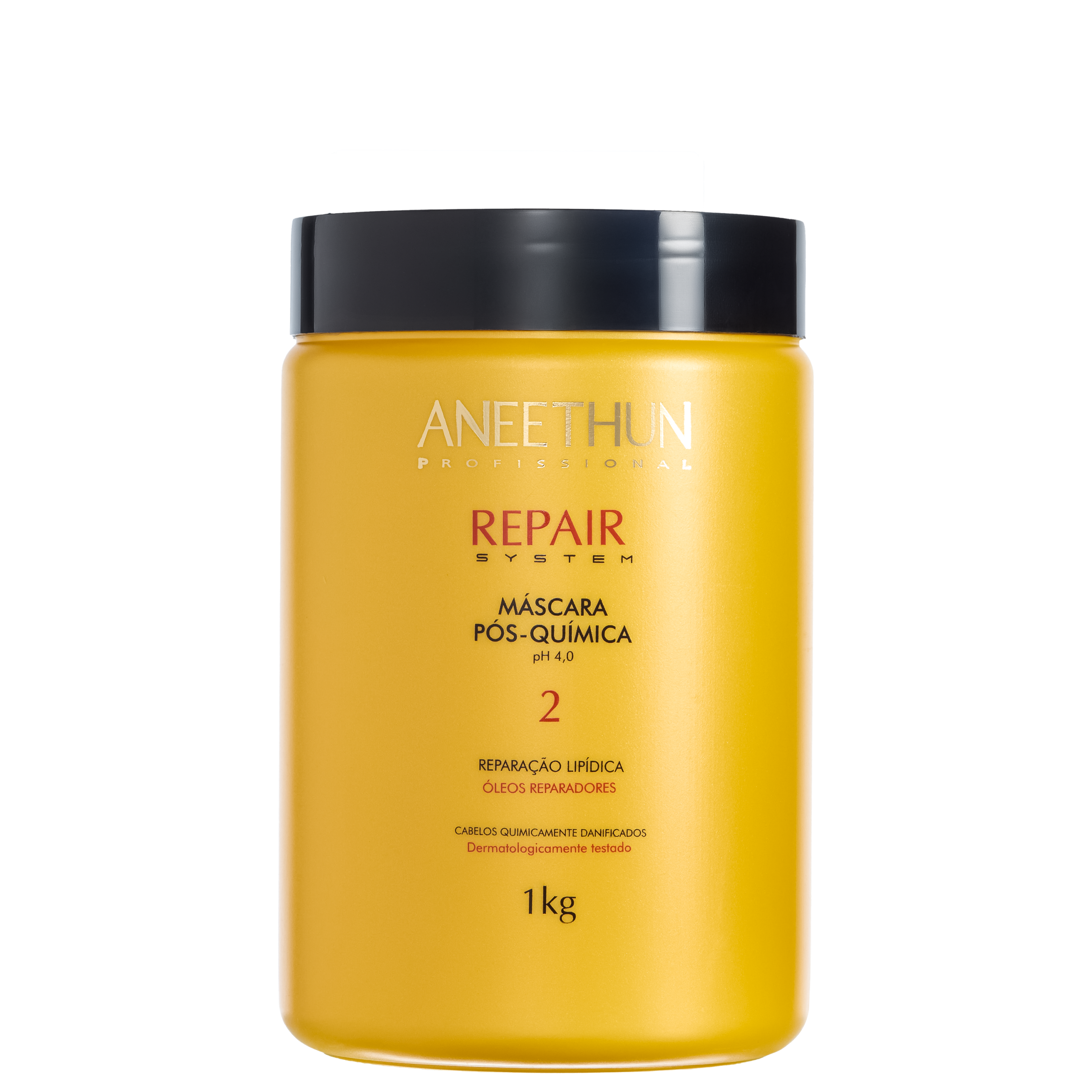 ANEETHUN PROFISSIONAL REPAIR SYSTEM MÁSCARA PÓS-QUIMICA 1KG ANEETHUN PROFISSIONAL REPAIR SYSTEM MÁSCARA PÓS-QUIMICA 1KG