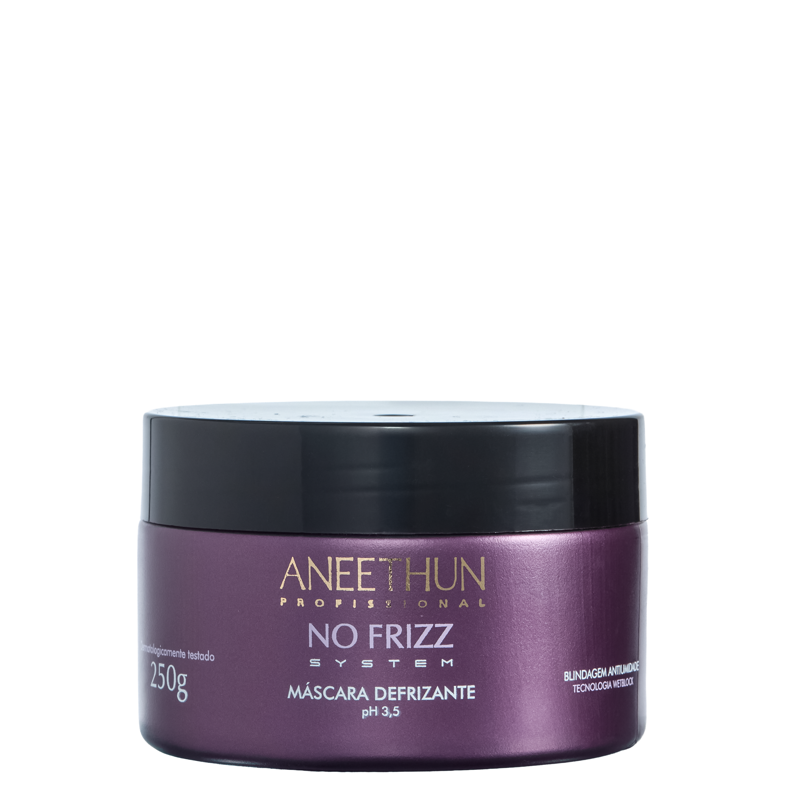 ANEETHUN PROFISSIONAL MASCARA DISCIPLINANTE NO FRIZZ SYSTEM 250G ANEETHUN PROFISSIONAL MASCARA DISCIPLINANTE NO FRIZZ SYSTEM 250G