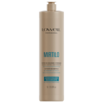 LOWELL PROFESSIONAL MIRTILO CONDICIONADOR EQUILIBRANTE 1L LOWELL PROFESSIONAL MIRTILO CONDICIONADOR EQUILIBRANTE 1L