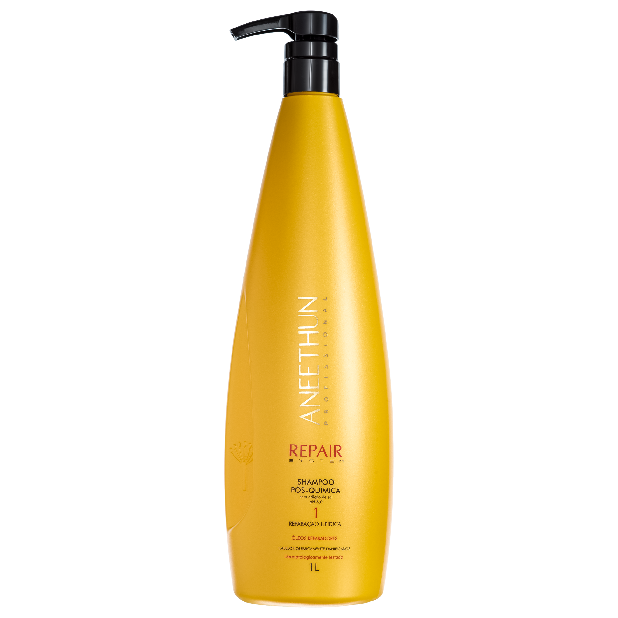 ANEETHUN PROFISSIONAL REPAIR SYSTEM SHAMPOO PÓS-QUIMICA 1L ANEETHUN PROFISSIONAL REPAIR SYSTEM SHAMPOO PÓS-QUIMICA 1L