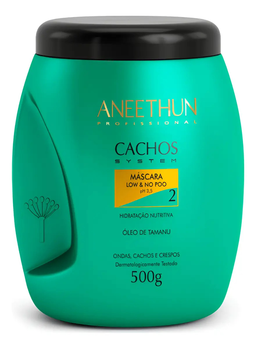 ANEETHUN PROFISSIONAL CACHOS SYSTEM MÁSCARA LOW E NO POO 500G ANEETHUN PROFISSIONAL CACHOS SYSTEM MÁSCARA LOW E NO POO 500G