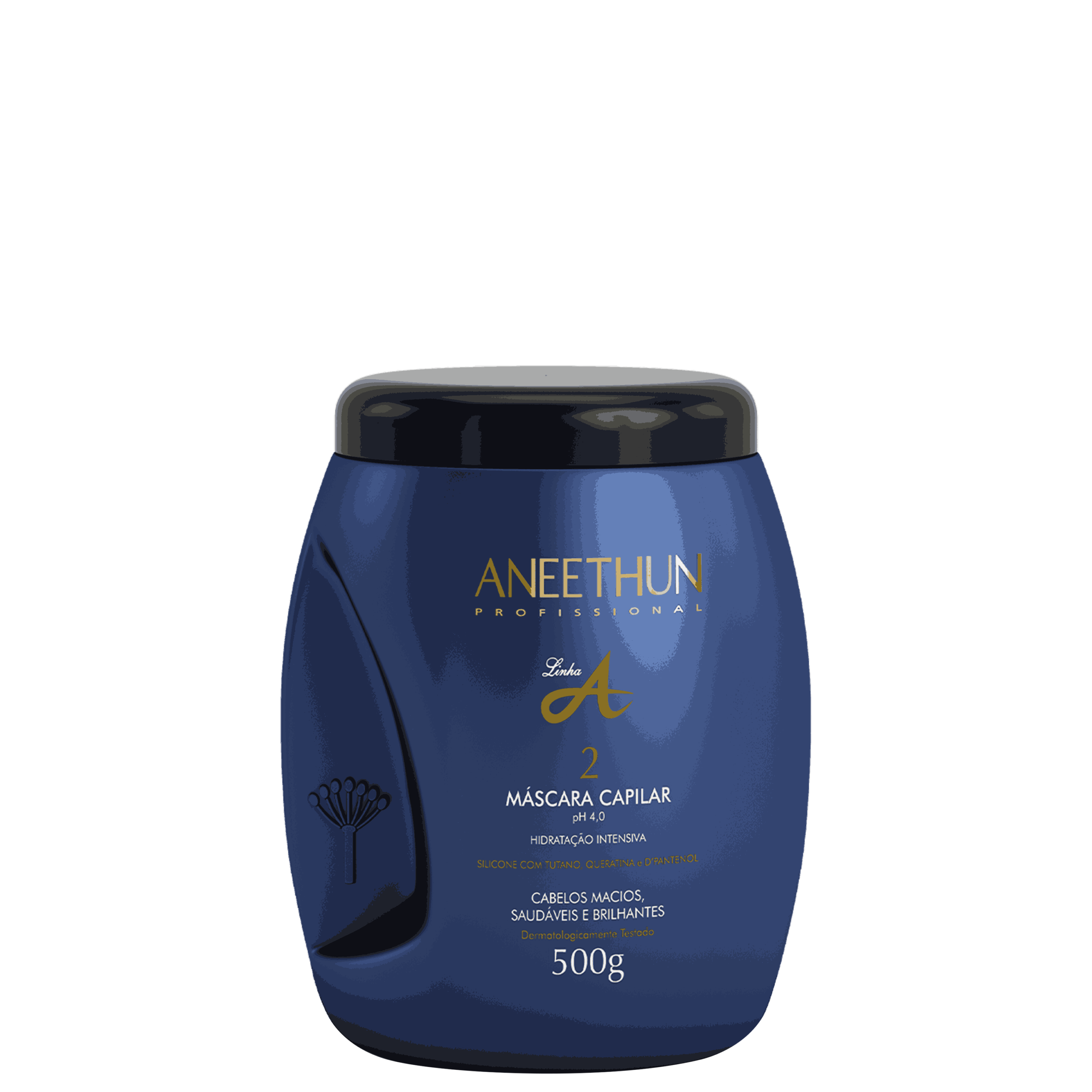 ANEETHUN PROFISSIONAL MÁSCARA CAPILAR HIDRATAÇÃO INTENSIVA 500G