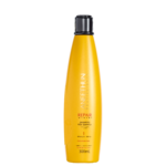 ANEETHUN PROFISSIONAL REPAIR SYSTEM SHAMPOO PÓS-QUÍMICA 300ML ANEETHUN PROFISSIONAL REPAIR SYSTEM SHAMPOO PÓS-QUÍMICA 300ML