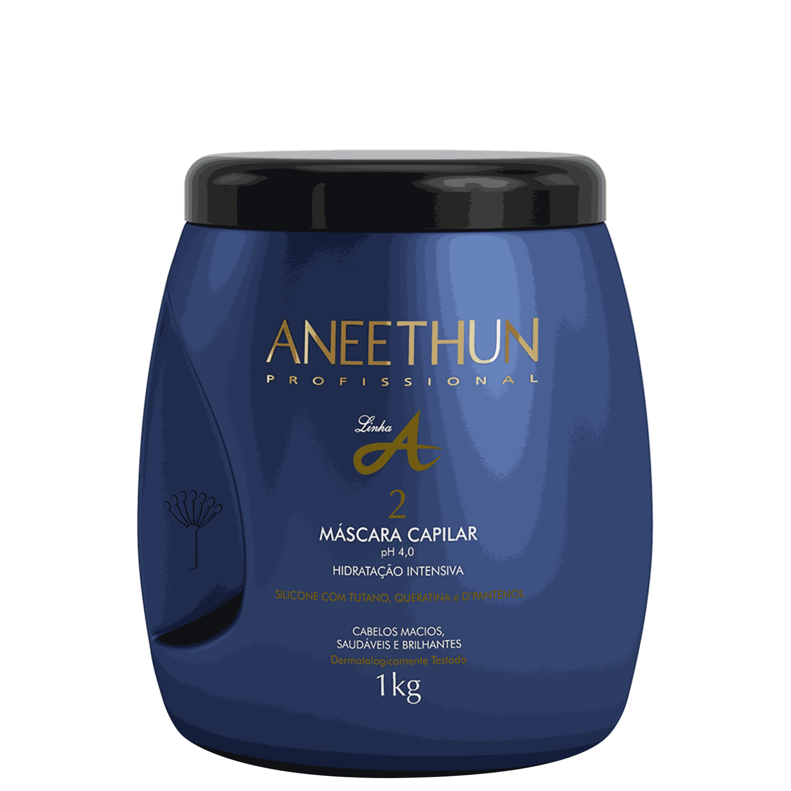ANEETHUN PROFISSIONAL MÁSCARA CAPILAR HIDRATAÇÃO INTENSIVA LINHA A 1KG ANEETHUN PROFISSIONAL MÁSCARA CAPILAR HIDRATAÇÃO INTENSIVA LINHA A 1KG