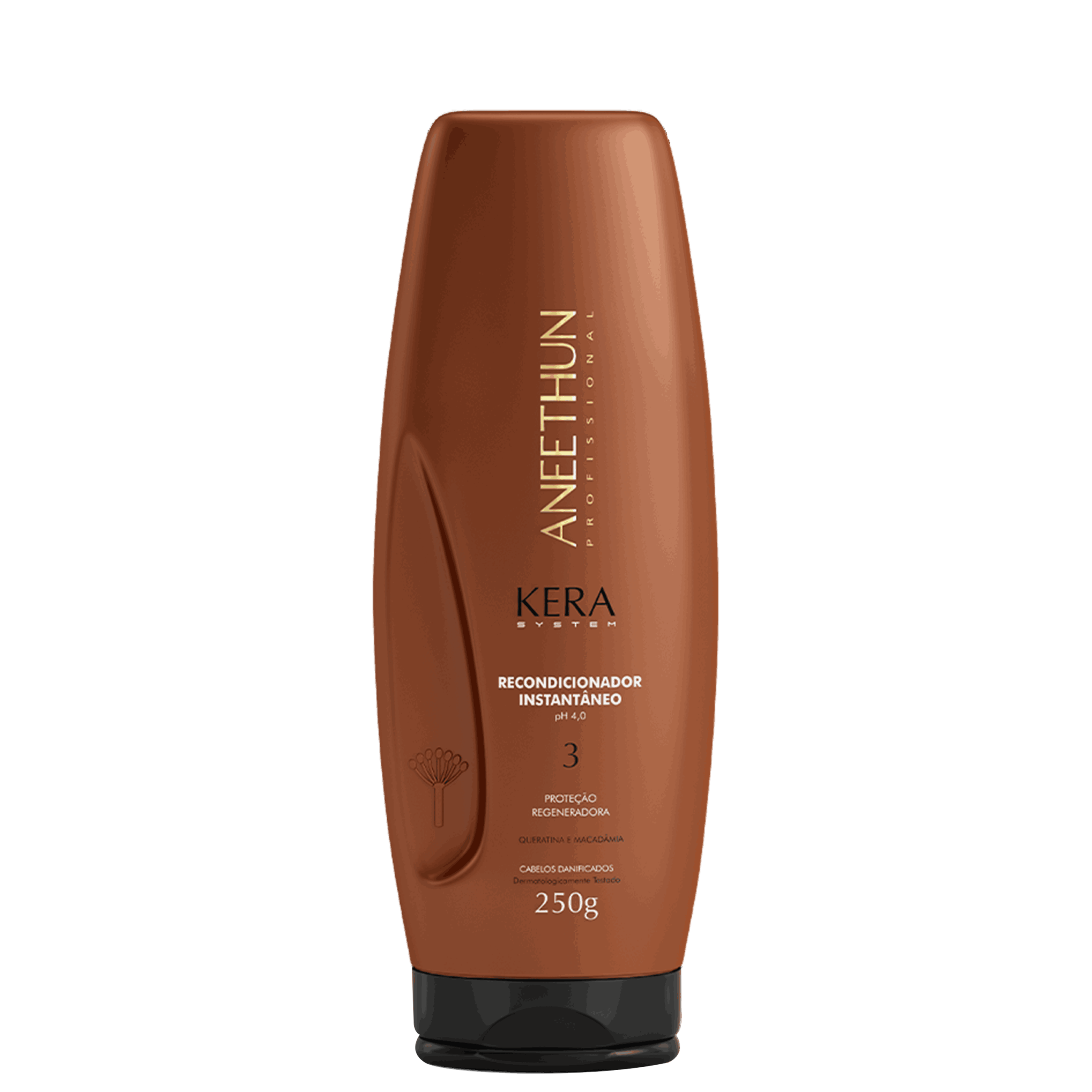 ANEETHUN PROFISSIONAL KERA SYSTEM RECONDICIONADOR INSTANTÂNEO 250G ANEETHUN PROFISSIONAL KERA SYSTEM RECONDICIONADOR INSTANTÂNEO 250G