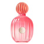 ANTONIO BANDERAS PERFUME THE ICON SPLENDID EAU DE PARFUM 100ML